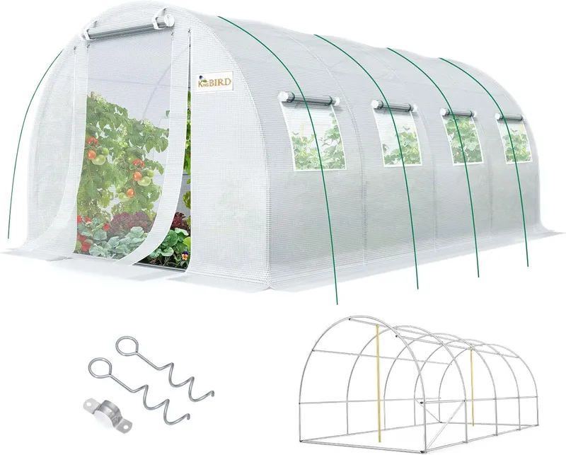 KING BIRD Premium 20x10x6.6FT Greenhouse for Outdoors